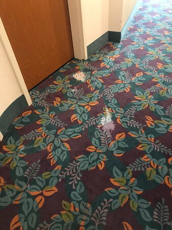 La Quinta Inn & Suites by Wyndham Edmond主图