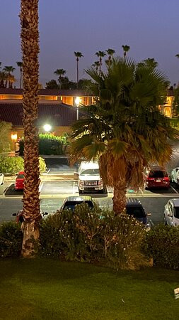 棕榈沙漠智选假日酒店主图