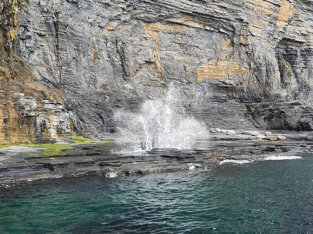 Fossil Cliffs景点图片