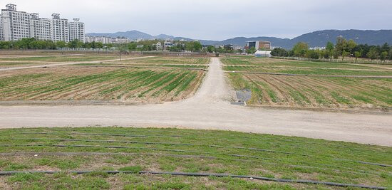 Nari Park-杨州市必去景点