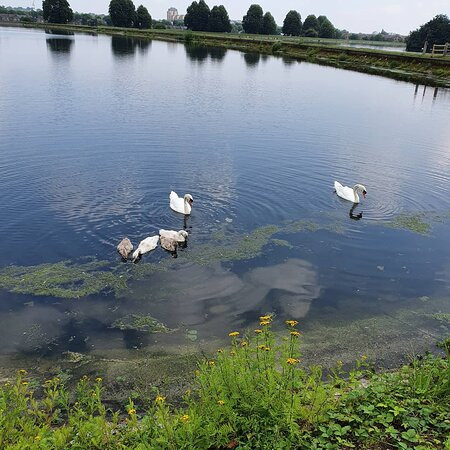 Walthamstow Wetlands-伦敦必去景点