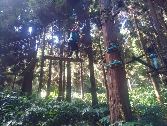 Makes Aventures-圣路易岛必去景点