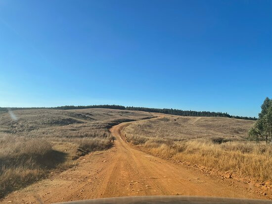 Emahlathini Guest Farm主图