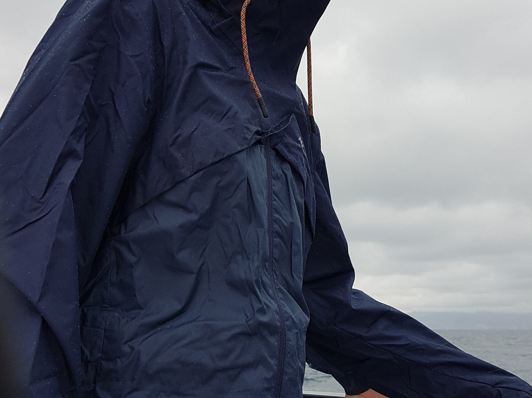 Catamaran NAVIVOILE-卡内鲁西永必去景点