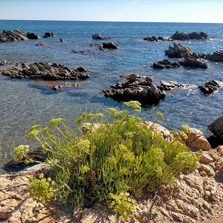Spiaggia di Feraxi-Muravera必去景点