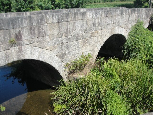 Ponte de Vilela景点图片