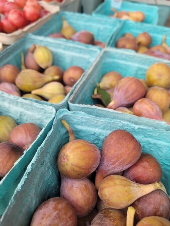 La Plata Farmers Market-La Plata必去景点