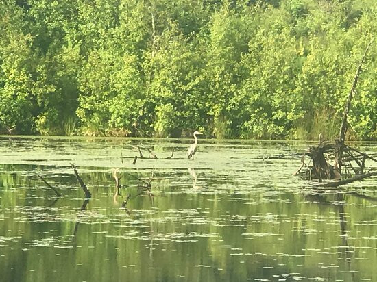 Beaver Pond Trail-Mactaquac必去景点