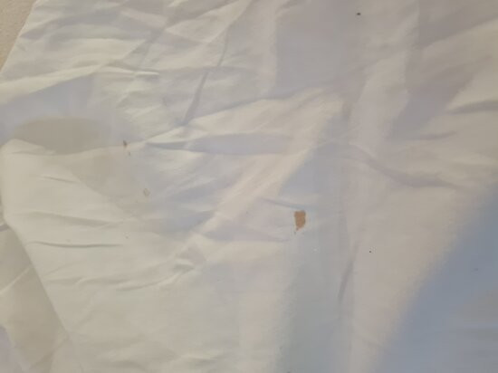 诺富特斯蒂夫尼奇酒店主图