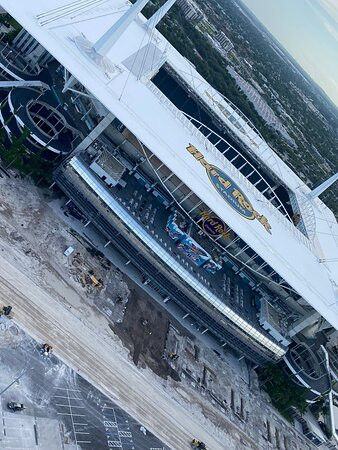 South Beach Helicopters-彭布罗克派恩斯必去景点