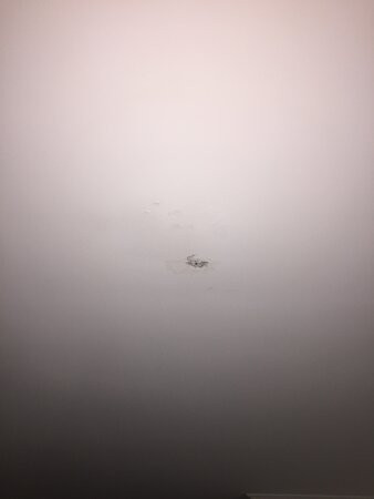 总统品质酒店主图