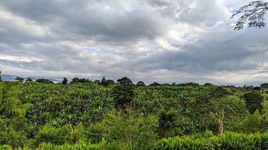 Hacienda Hotel El Percal主图