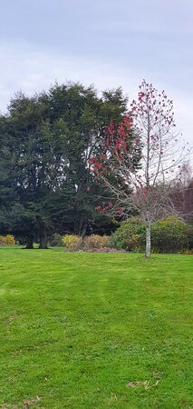 卡萨莫利诺酒店主图