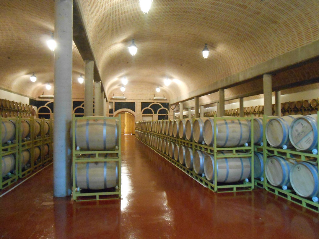 Bodegas Hermanos Perez Pascuas - Viña Pedrosa景点图片