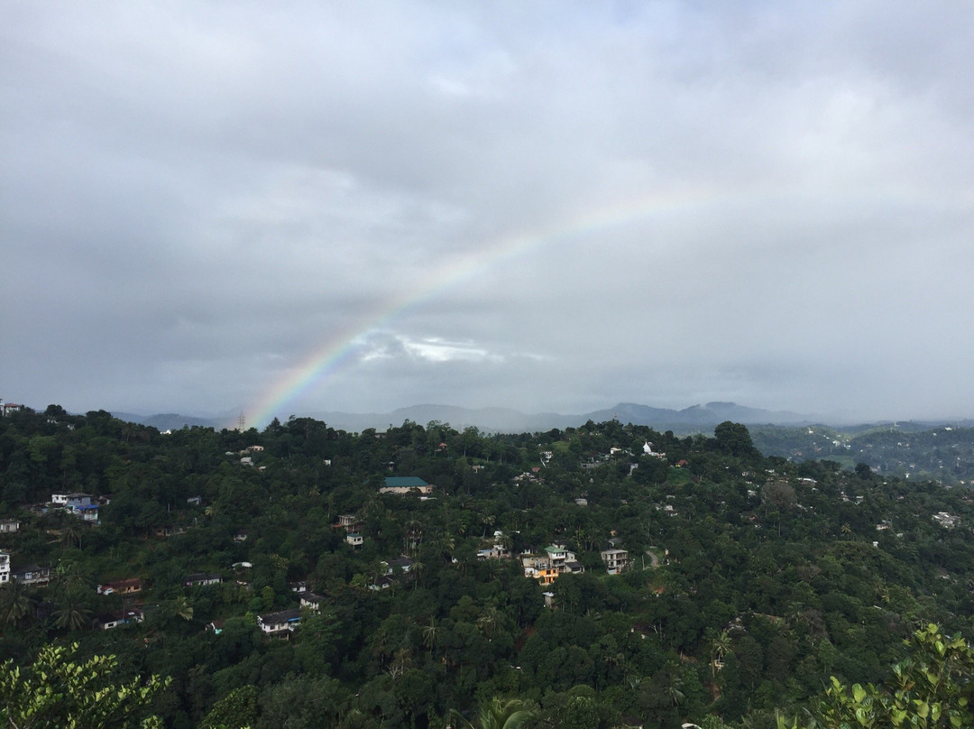 Sky View Bungalow主图