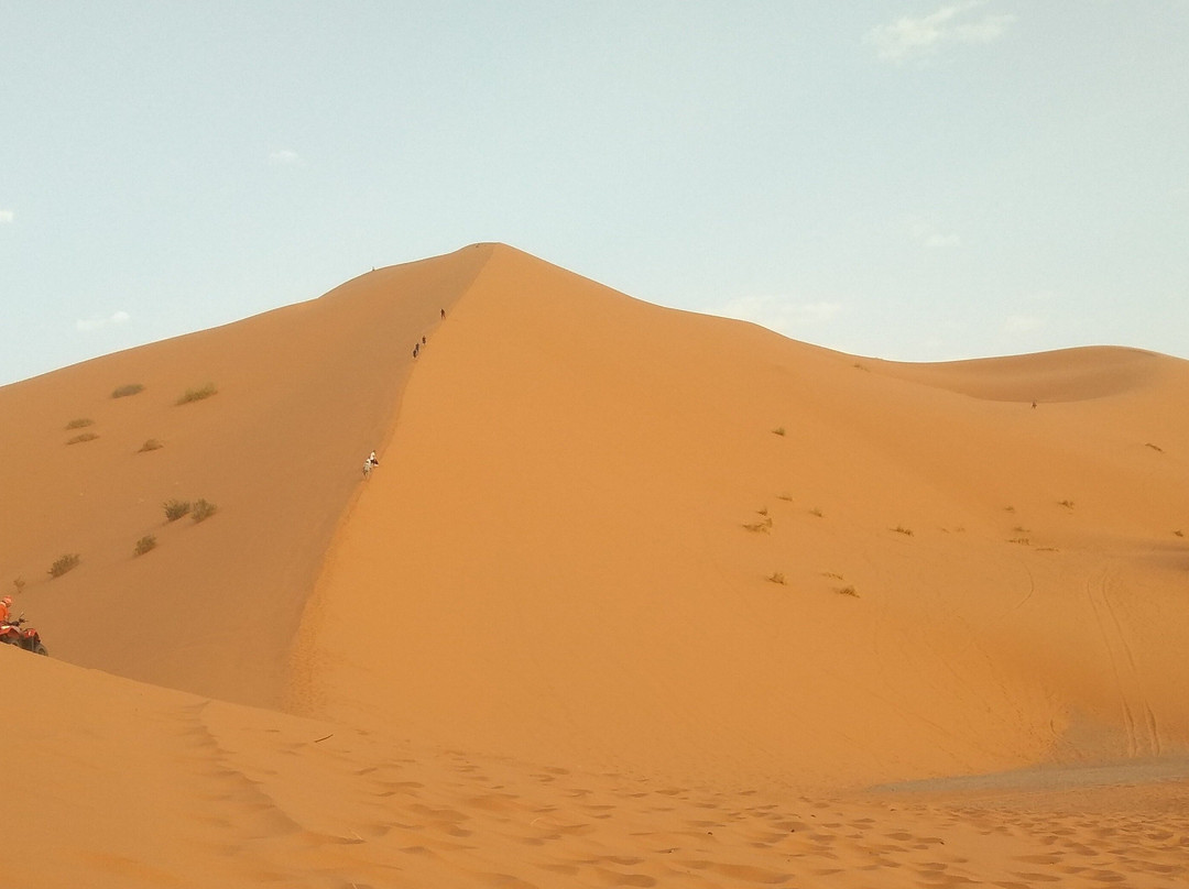 Sahara nomad’s camp景点图片