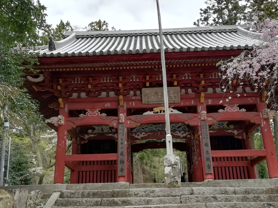 Nariai-ji Temple Gojunoto-宫津市必去景点