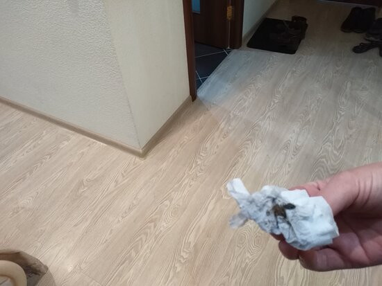 Alaya Roza Resort主图