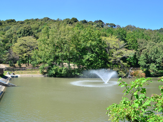 丰川市旅游攻略图片