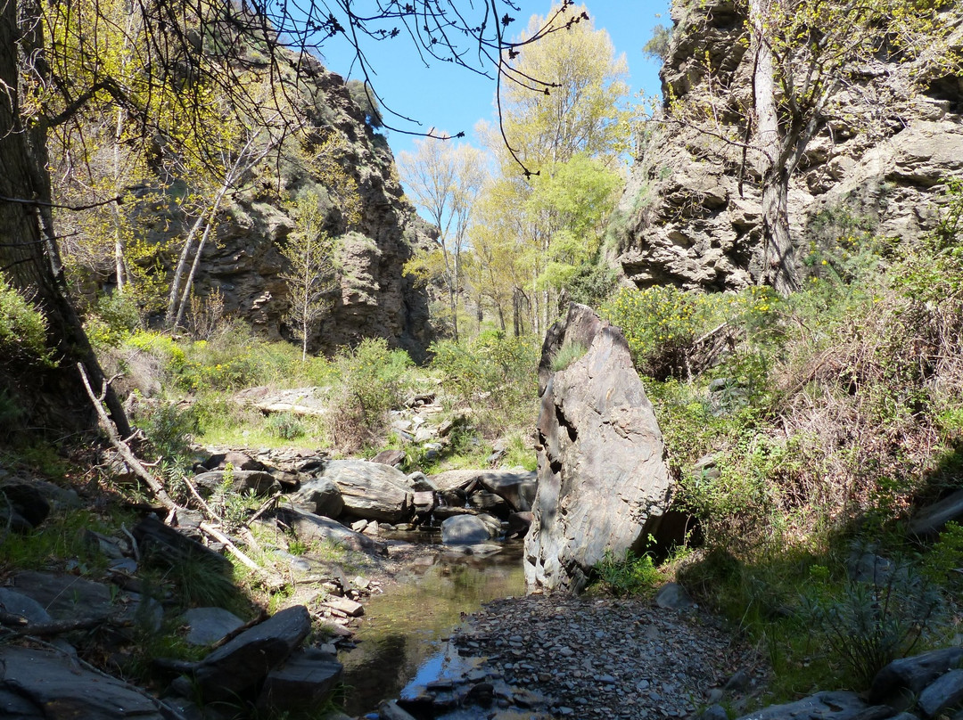 Bayarcal旅游攻略图片