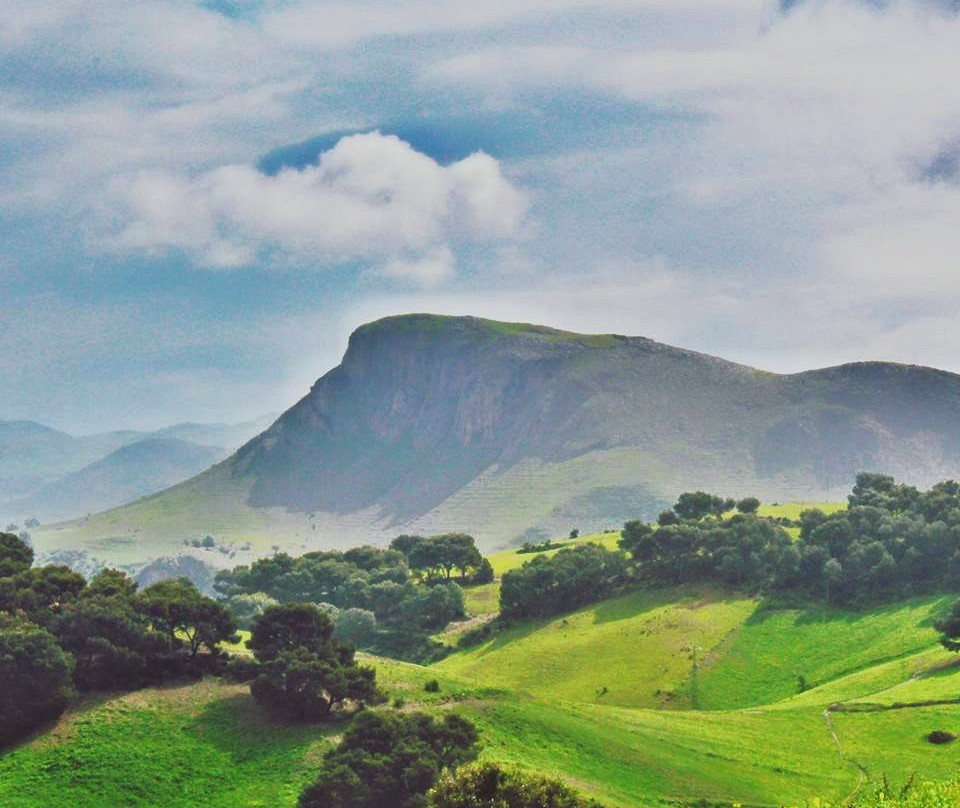 Jendouba Governorate旅游攻略图片