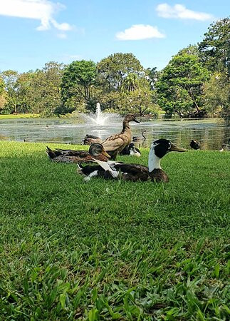 Lake Alford Park景点图片