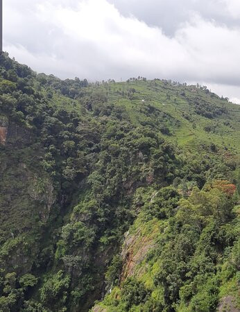 Catherine Falls-Kotagiri必去景点