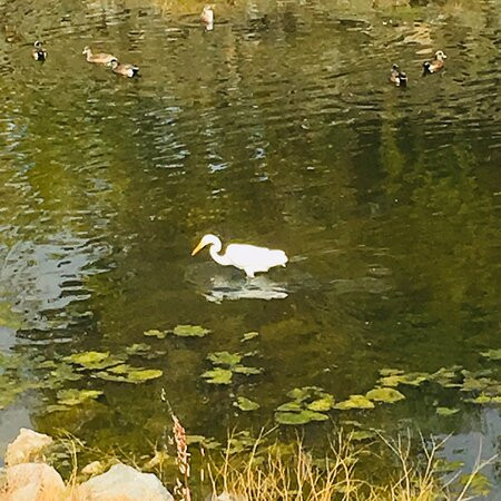 Arroyo Simi Bike Path-西米谷必去景点