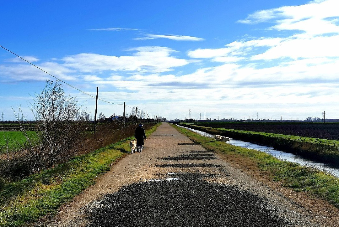 Parco Regionale Delta del Po景点图片