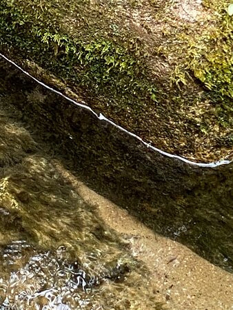 Parque Nascentes Do Tiete-Salesopolis必去景点