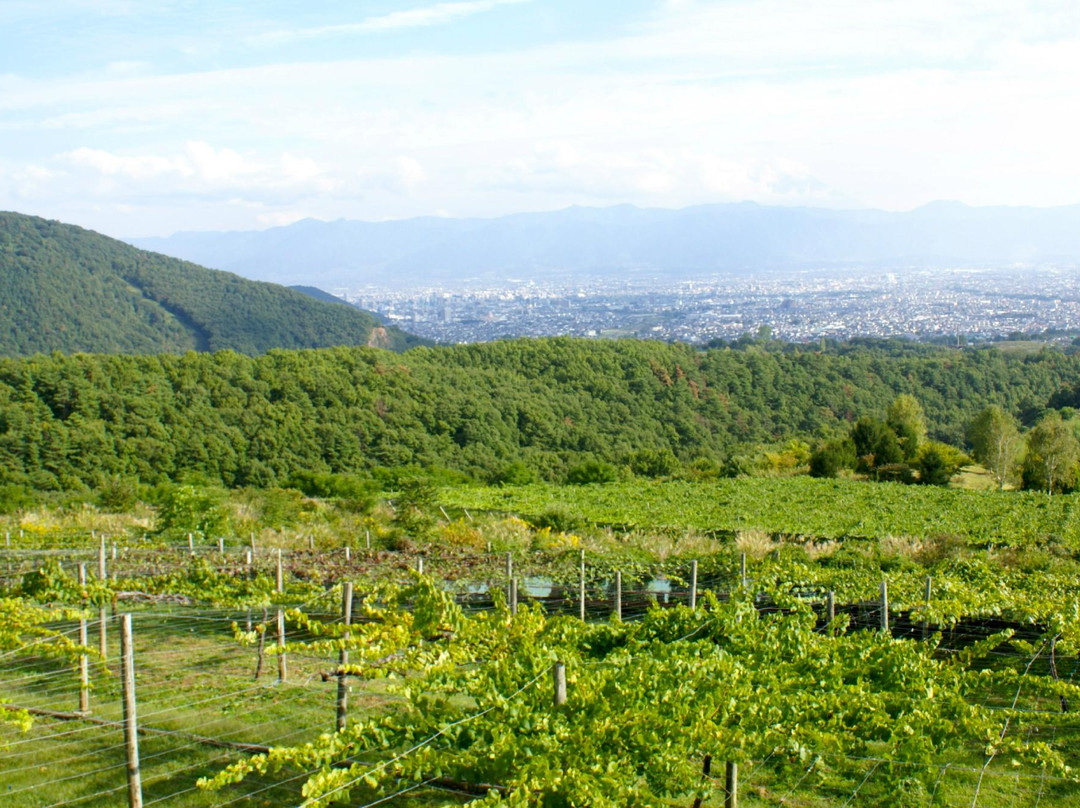 Suntory Tominooka Winery景点图片