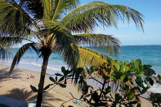 Blessed Tours LLC-法哈多必去景点