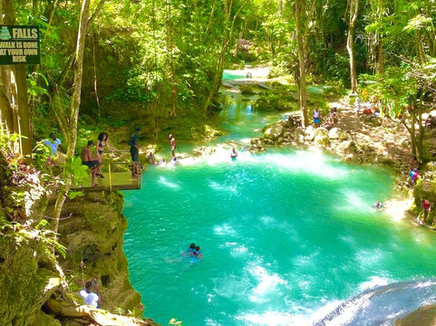 Taylor Jamaica Tours