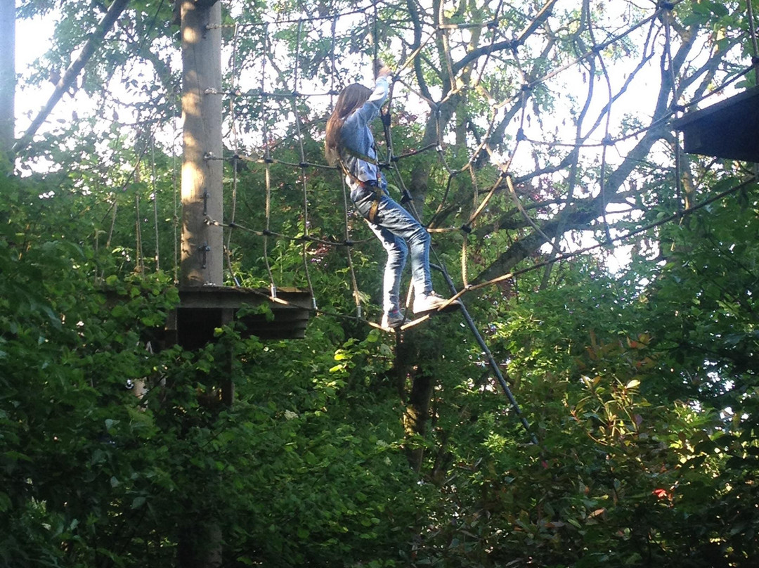 Treetop Challenge景点图片