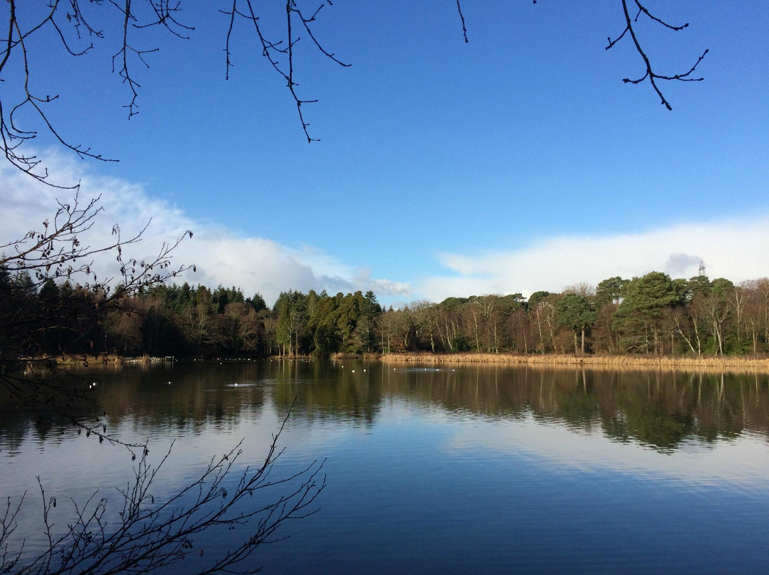 Stover Country Park and Nature Reserve景点图片