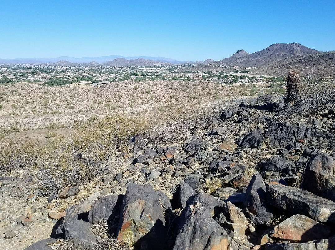 Thunderbird Conservation Park景点图片