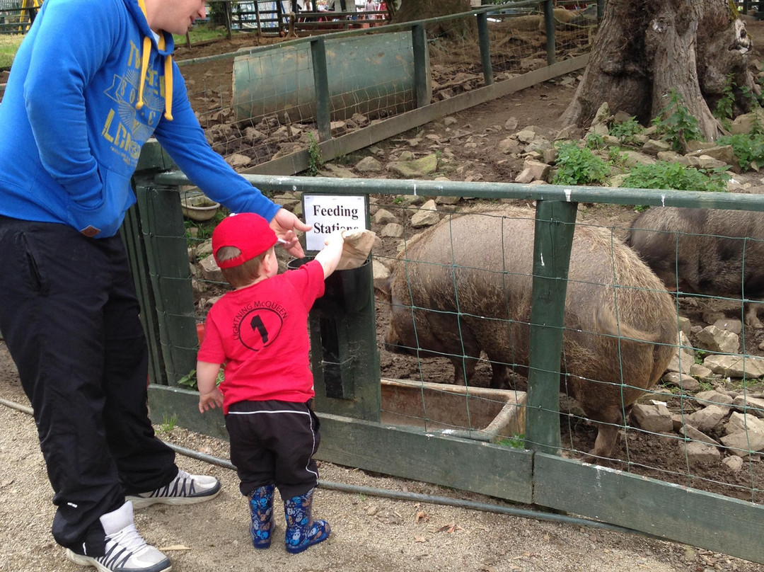 Lurgybrack Open Farm-County Donegal必去景点