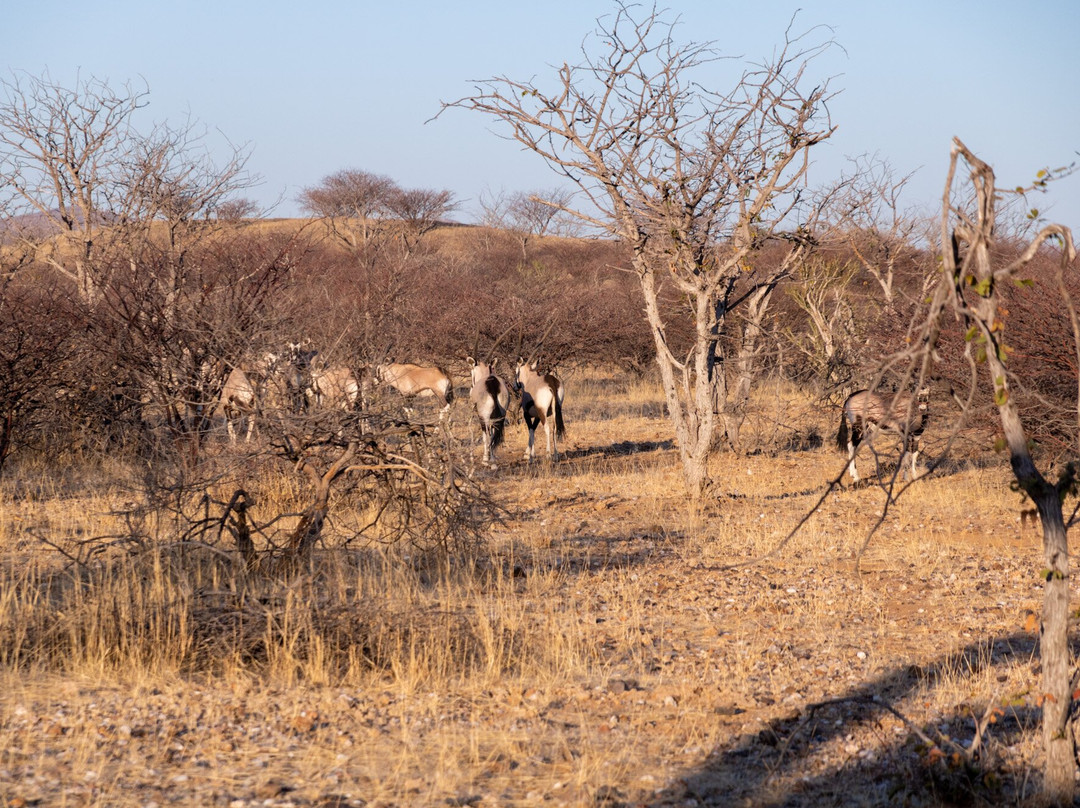Ugab Game Farm & Lodge