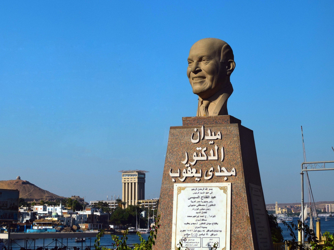 Statue Of Dr. Magdi Yacoub景点图片