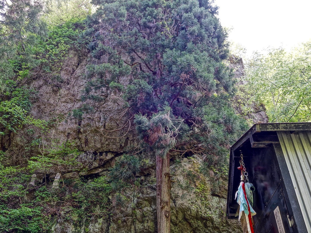 Ninnoji Temple-会津美里町必去景点