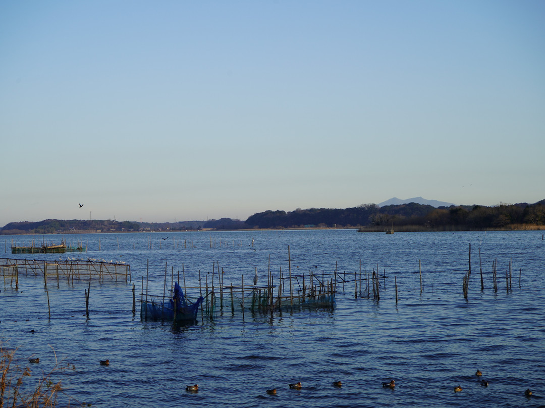 Ushikunuma Pond景点图片