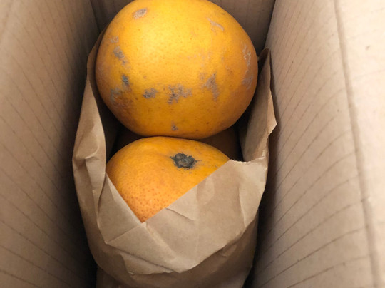 Fet a Soller Oficinas-索耶尔必去景点