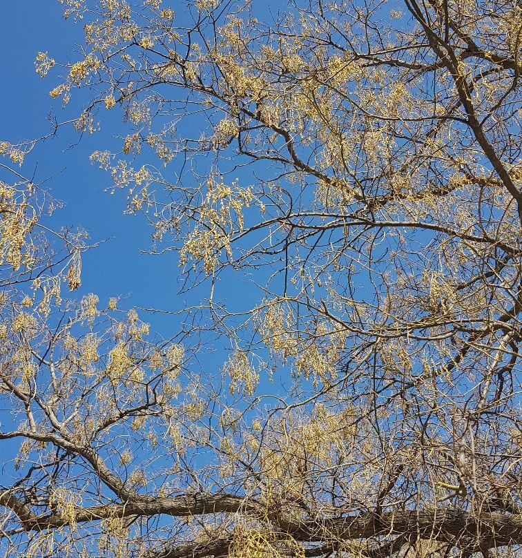 Segmenler Parkı-安卡拉必去景点