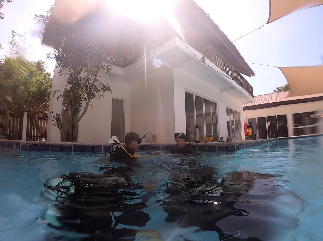 Blue Revival Diving-邦劳岛必去景点