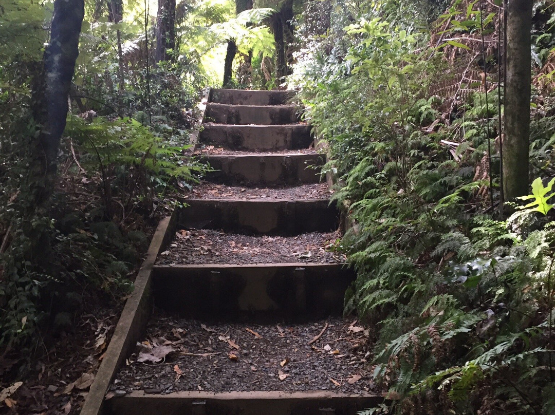 Otari-Wilton's Bush Native Botanic Garden景点图片