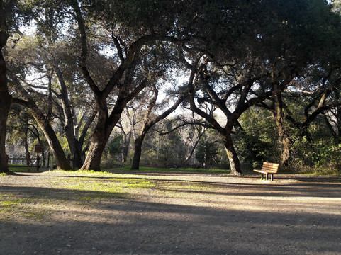 Stevens Creek County Park-库柏蒂诺必去景点