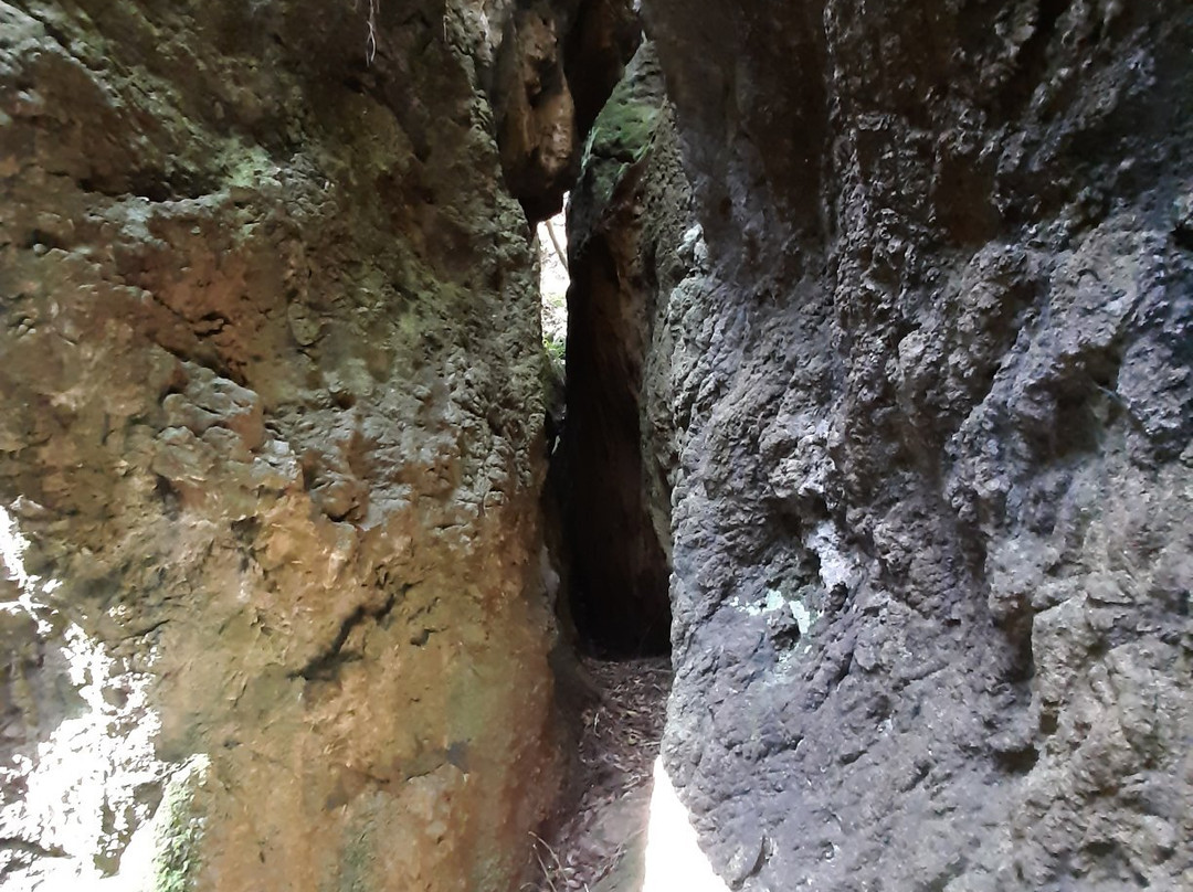 Cuevas de Andina景点图片