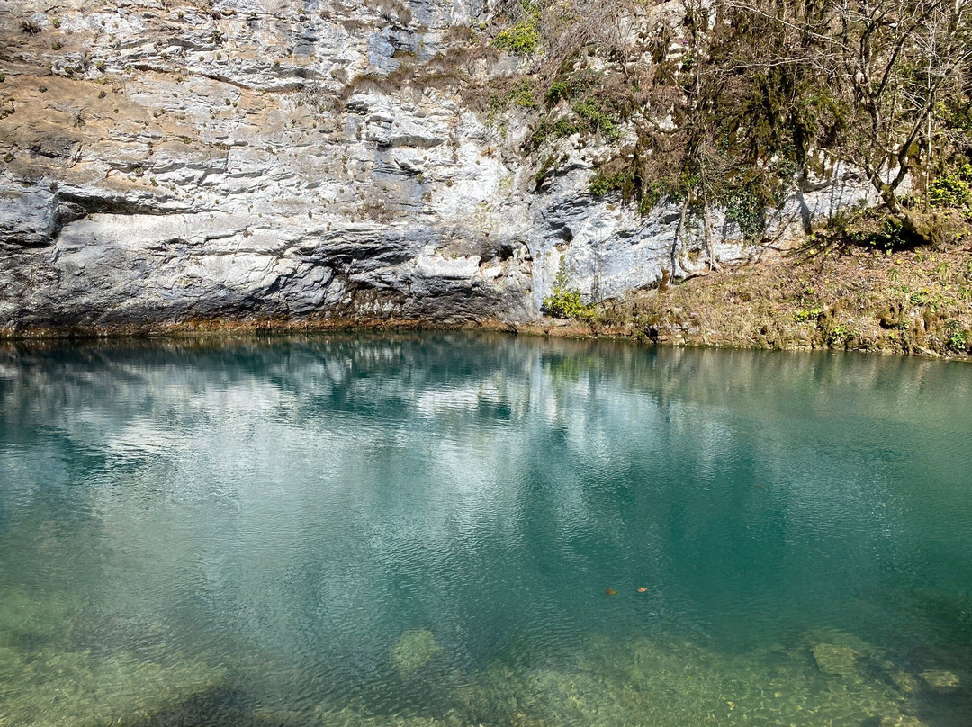 Ritsinskiy Relic National Park景点图片