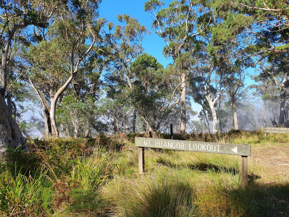 Mount Buangor State Park-维多利亚必去景点