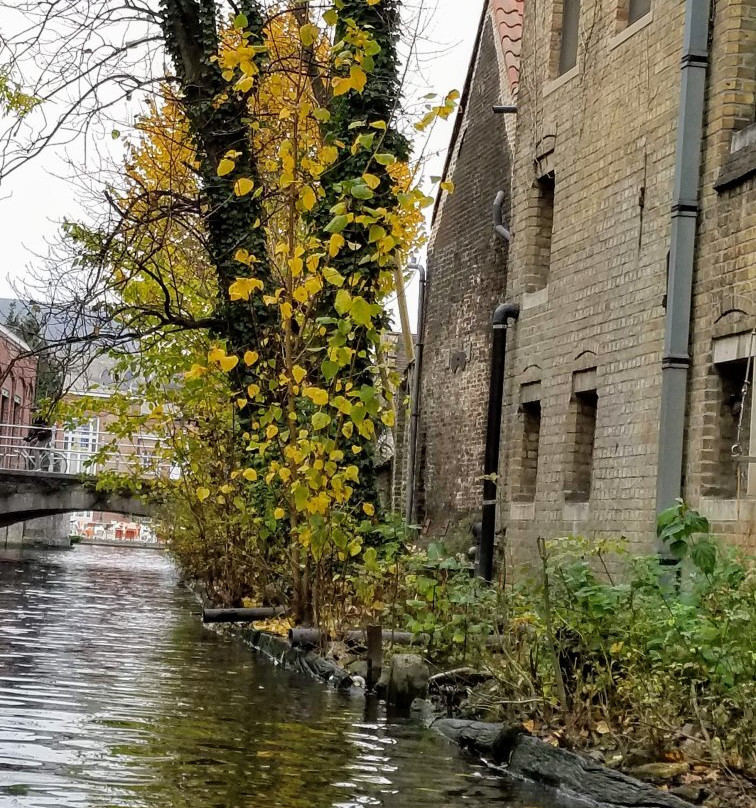 Canal Trip Bruges-Damme景点图片